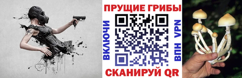 Галлюциногенные грибы MAGIC MUSHROOMS  наркошоп  Кемерово 