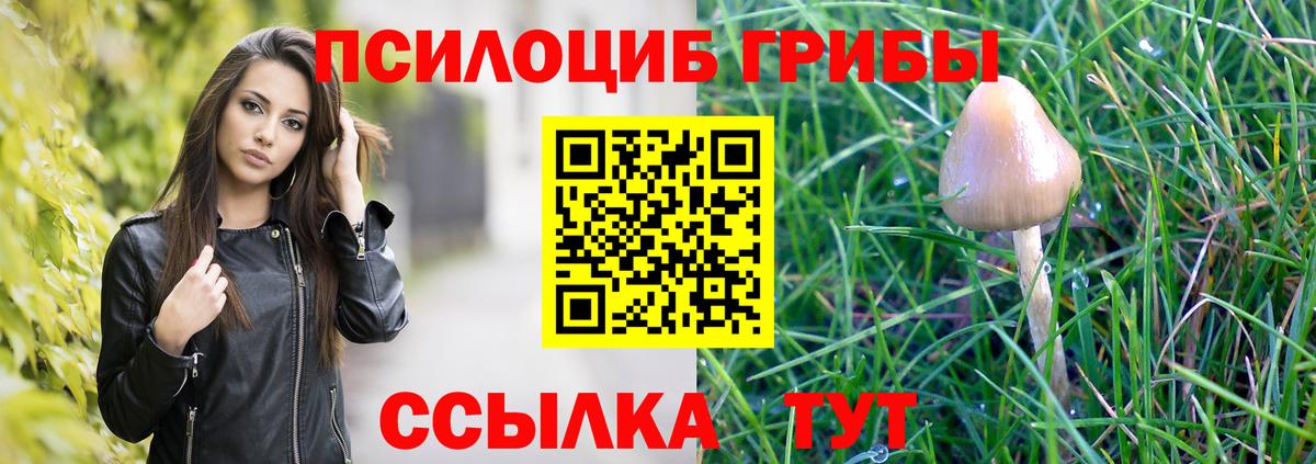 Псилоцибиновые грибы Psilocybine cubensis Кемерово