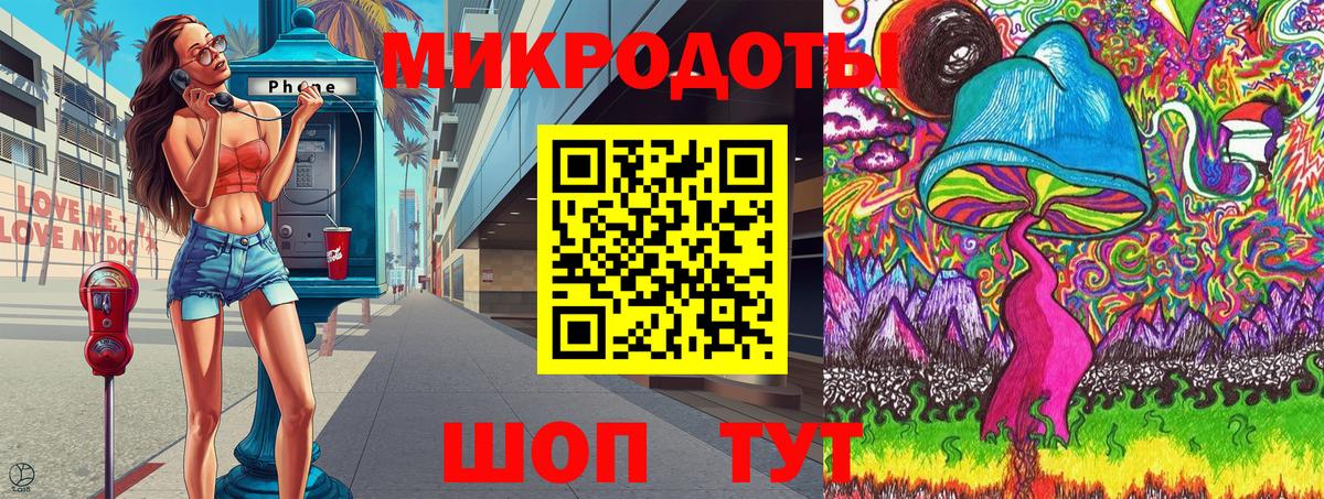 Галлюциногенные грибы Psilocybine cubensis Кемерово