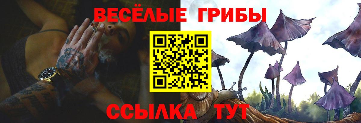 Кемерово  Галлюциногенные грибы GOLDEN TEACHER  Галлюциногенные грибы Magic Shrooms  Вход с VPN 