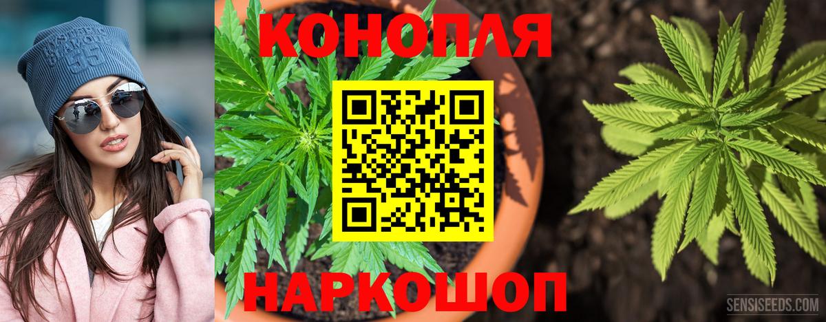 Каннабис гибрид Кемерово