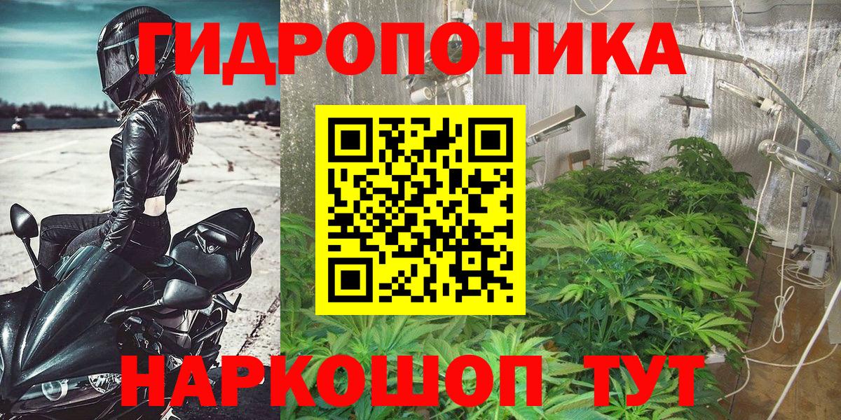 Бошки марихуана ГИДРОПОН  Шишки марихуана сатива  Кемерово  Шишки марихуана планчик 